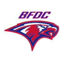 Burns Flat-Dill City High School Logo