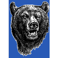 Bertha Secondary Logo