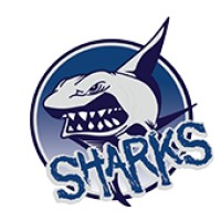 Oasis Charter High School Logo