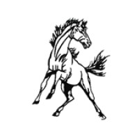 Mora High School Logo