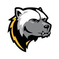 Mica Peak High School Logo