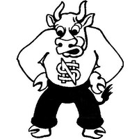 New Salem-Almont High School Logo