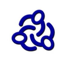 Clark Montessori High School Logo