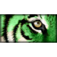 Slidell High School Logo
