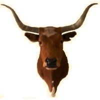 Viola High School Logo