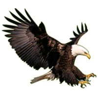 Winslow Township High School Logo