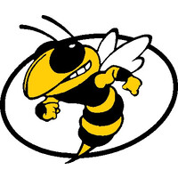 Grundy County High School Logo