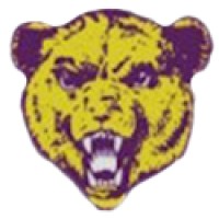 Monett High School Logo