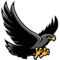 Andrew P. Hill High School Logo