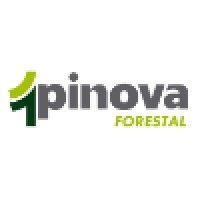 Pinova Forestal Logo