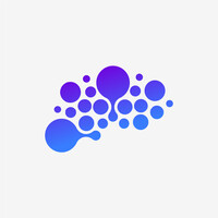 Braim Marketing Logo