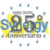 Synergy S.r.l. Logo
