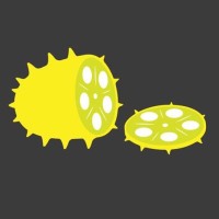 Horned Melon Productions Logo