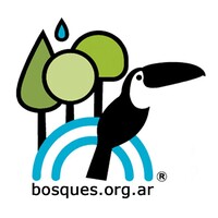 Bosques Nativos Argentinos Logo