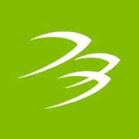 Blackhawk Network México Logo