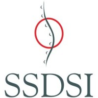 Six Sigma Development Solutions, Inc. Logo