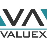 Valuex Group Ltda Logo