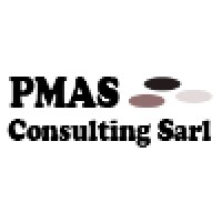 PMAS Consulting Logo