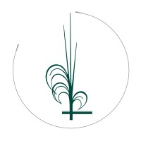 LINEA VERDE NICOLINI srl 🍃 Logo