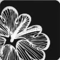 Loess Hills Floral Logo