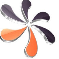 HCM Info Systems Logo