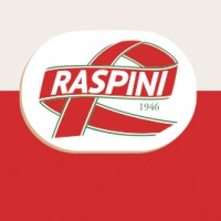 Raspini S.p.A. Logo
