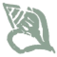 Counting Seashells Logo