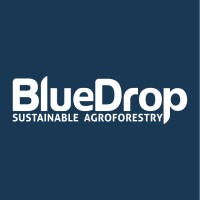 BlueDrop - Sustainable Agroforestry Logo