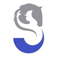 Silver Lining Riding Logo