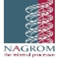 Nagrom the Mineral Processor Logo