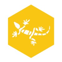 Yellow Lizard Media - Video Production Logo