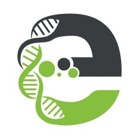 Endorphin Global Logo