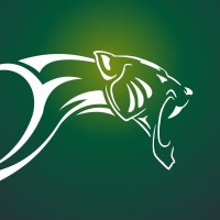 TigerLogic Solutions Ltd Logo