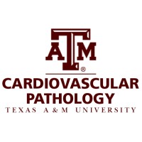 Texas A&M Cardiovascular Pathology Laboratory (CVPath) Logo