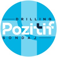 Pozitif Sondaj Logo