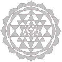 Shyam Distributors Logo