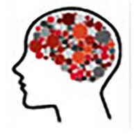 Center for Translational Cognitive Neuroscience Logo