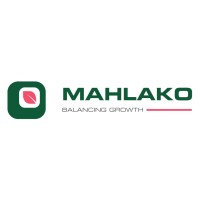 Mahlako Financial Services Logo