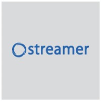 Streamer Electric AG Logo