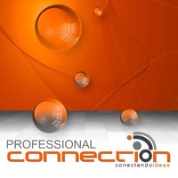 Professional Connection Logo
