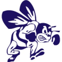Bridgman High School Logo