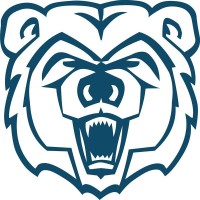 Ava High School Logo
