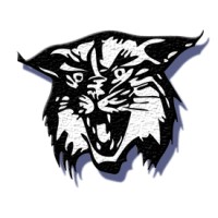 Lake Norman High School Logo