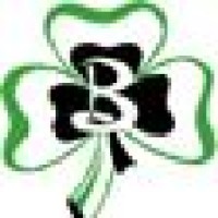 Berrien Springs High School Logo