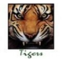 Morgan City High School Logo