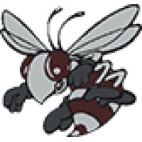 Byron-Bergen Junior/Senior High School Logo
