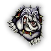 Summerfield High School Logo