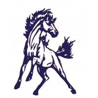 Montabella Junior/Senior High School Logo
