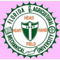 Florida A&M University Developmental Research School Virtual Franchise Logo