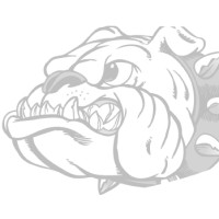 Bald Knob High School Logo